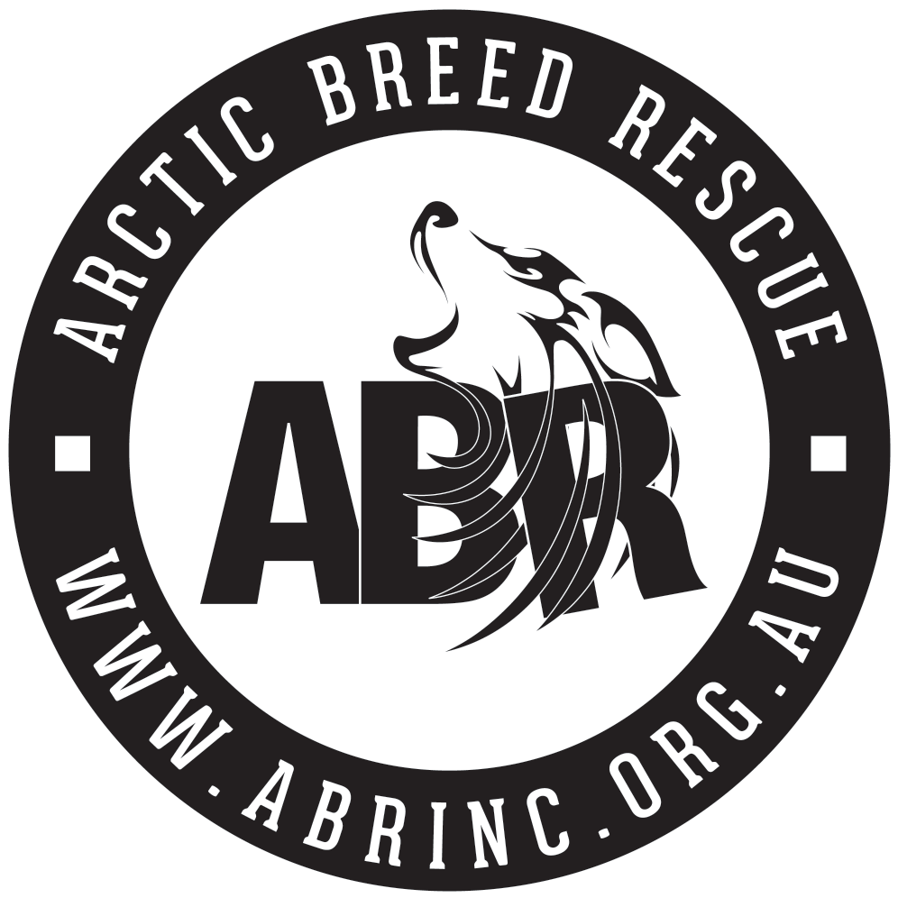 ABRINC Logo